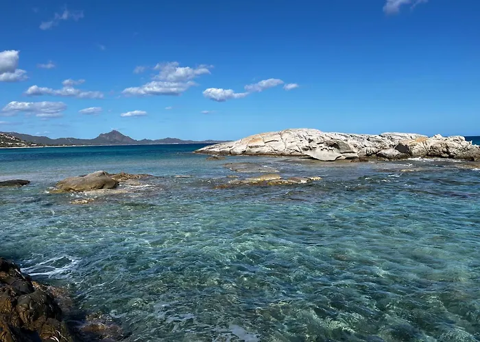 Attico Amare - 100m Dalla Hébergement de vacances